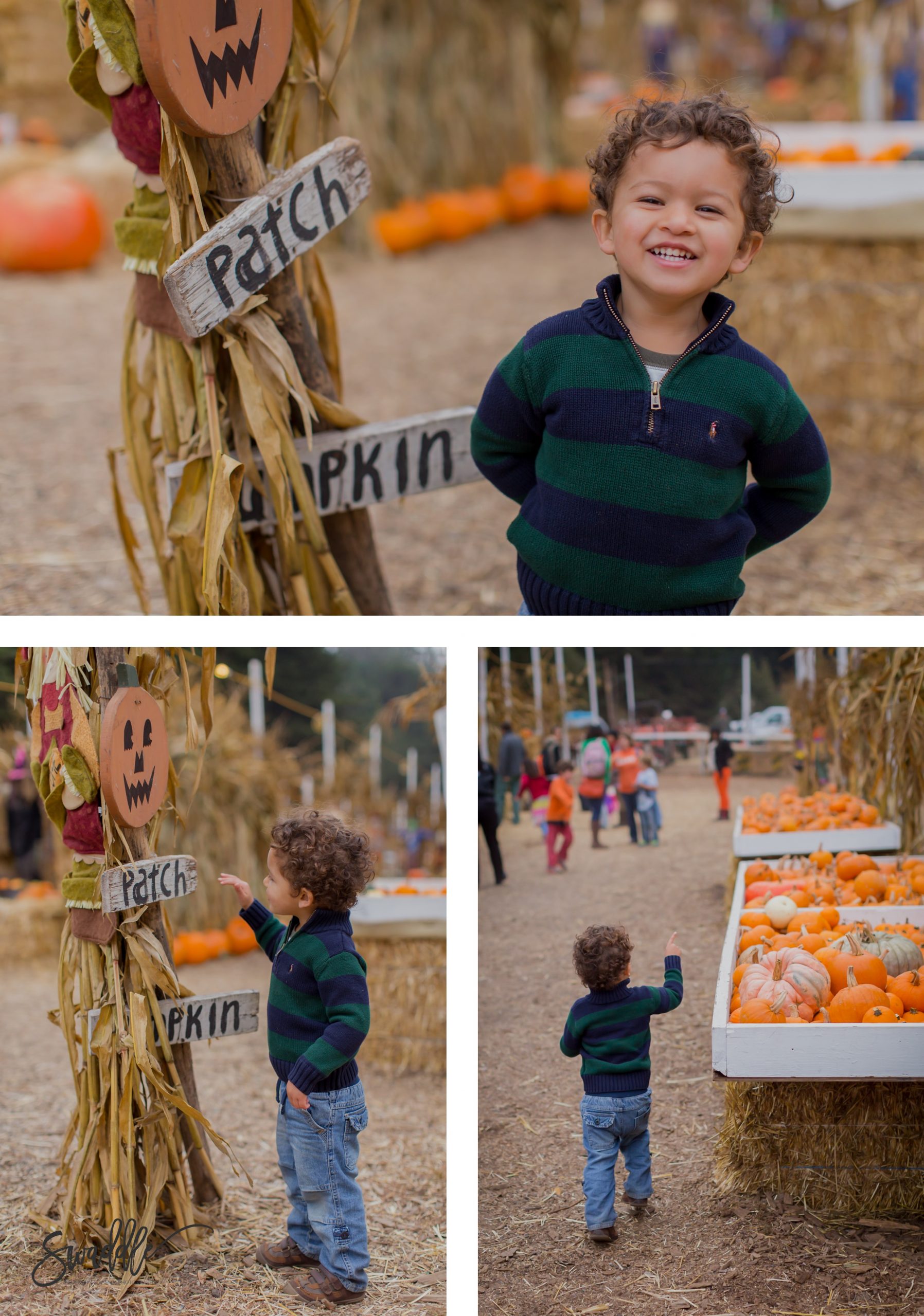two year old boy at Clancy's pumpkin patch in san francisco
